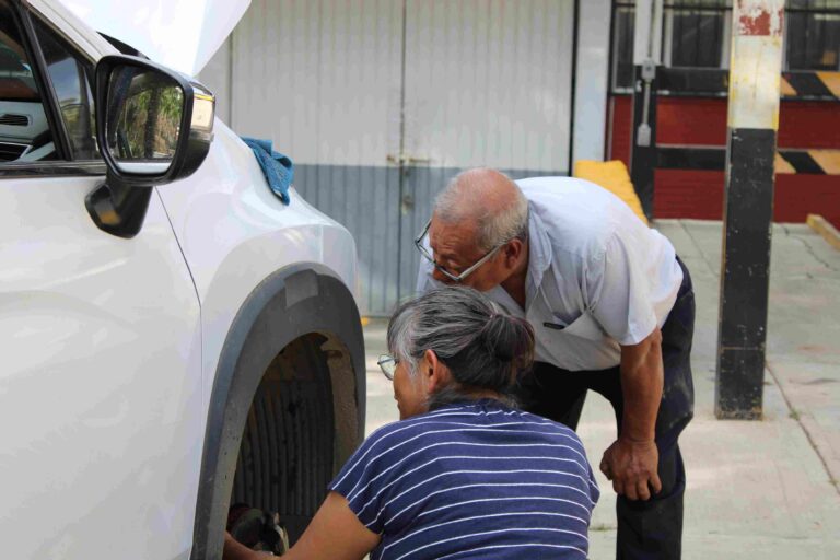 5-carrusel-compressed